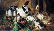 unknow artist Rabbits 198 oil painting on canvas